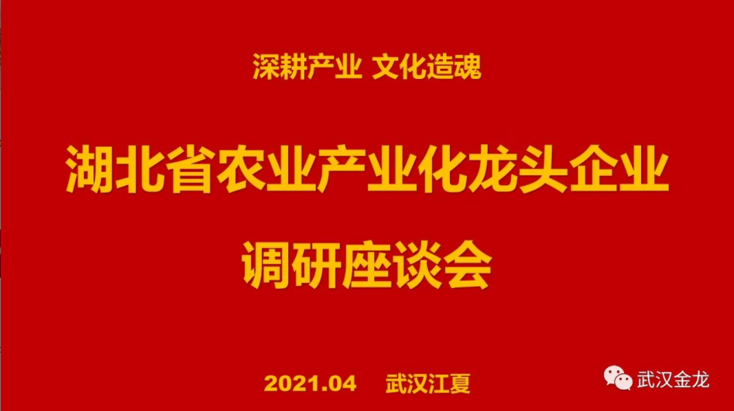 省農(nóng)業(yè)產(chǎn)業(yè)化龍頭企業(yè)調(diào)研座談會在武漢金龍集團(tuán)會議室順利召開